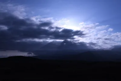 DSC_1233 (Large).JPG